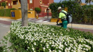 Personal trabajando en labores de jardinería