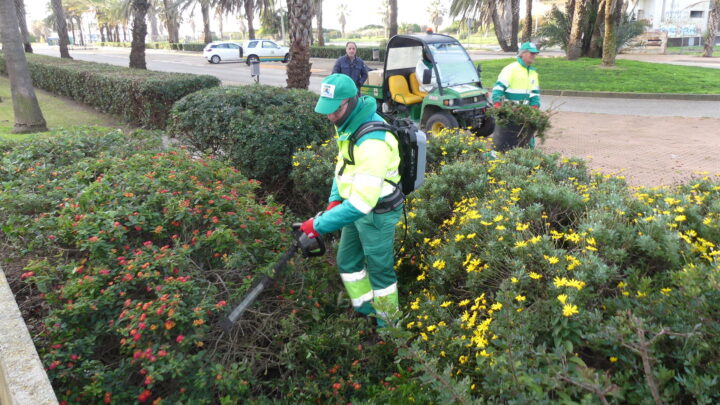 Trabajos de mantenimiento general de jardinería