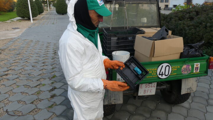 Campaña de desratización en zonas públicas