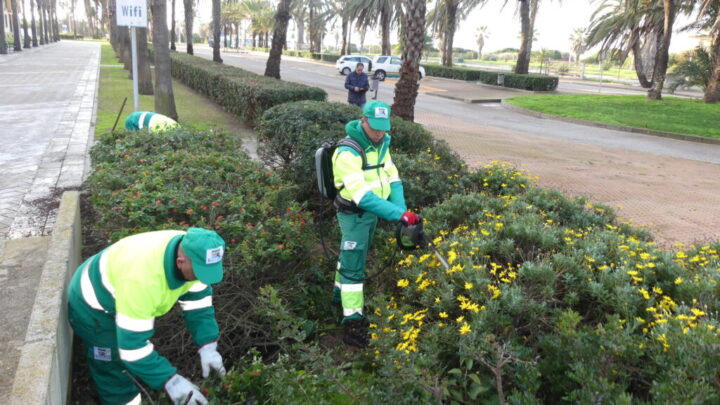 Incorporación de personal para reforzar el funcionamiento de algunos servicios