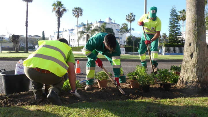 Trabajos de jardinería en varios puntos de Costa Ballena