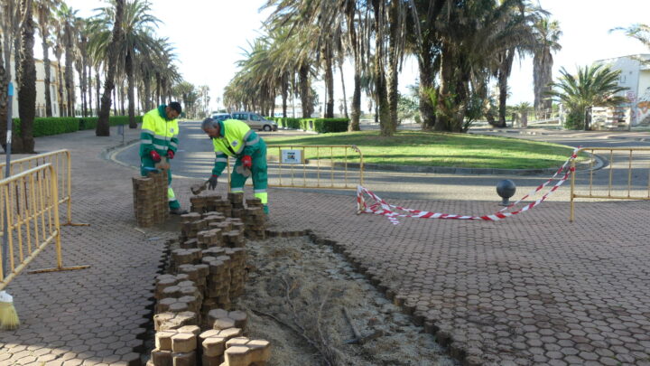 Reparaciones en el pavimento de la avenida del Mar