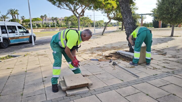 Actuaciones puntuales para corregir deficiencias en el pavimento