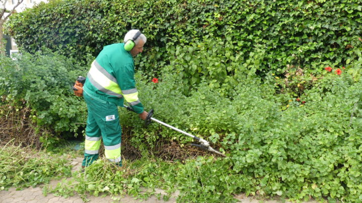 Los trabajos de jardinería se centran en calle Gavilanes y Rosa del Azafrán