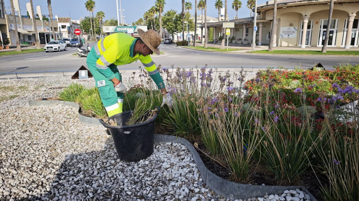Labores de jardinería para tener a punto las zonas verdes del complejo urbanístico
