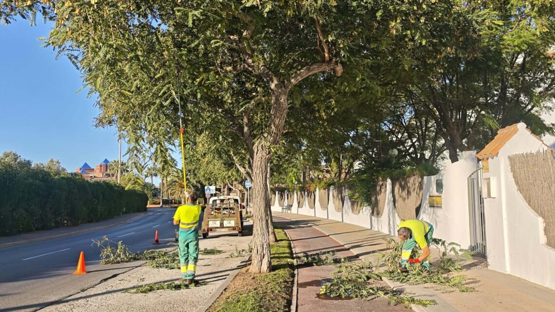 Nuevos trabajos de jardinería se centran en las avenida Carla de Orleans y Reina Sofía
